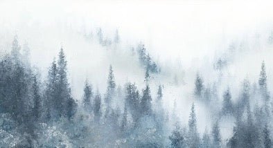 Watercolor blue fir tree wallpaper, XXL, tendance