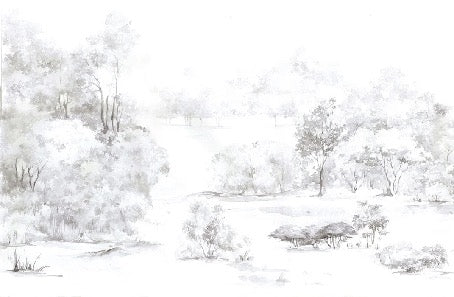 Tapete Kiefernwald Aquarell
