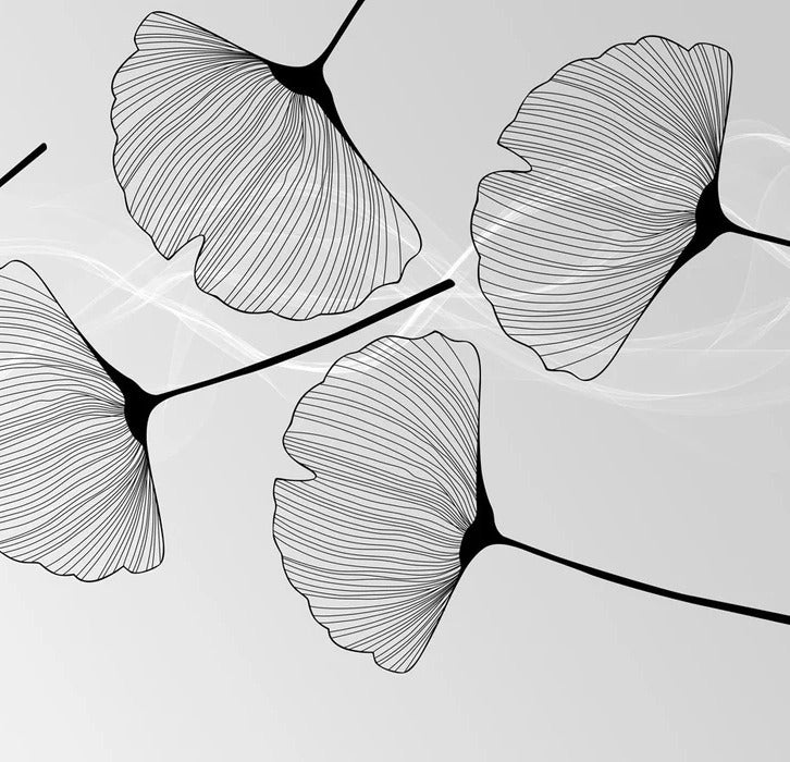 Papier peint panoramique tendance ginkgo noir, XXL, tendance