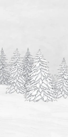 Papier peint montagne télécabine noir & blanc, XXL, tendance