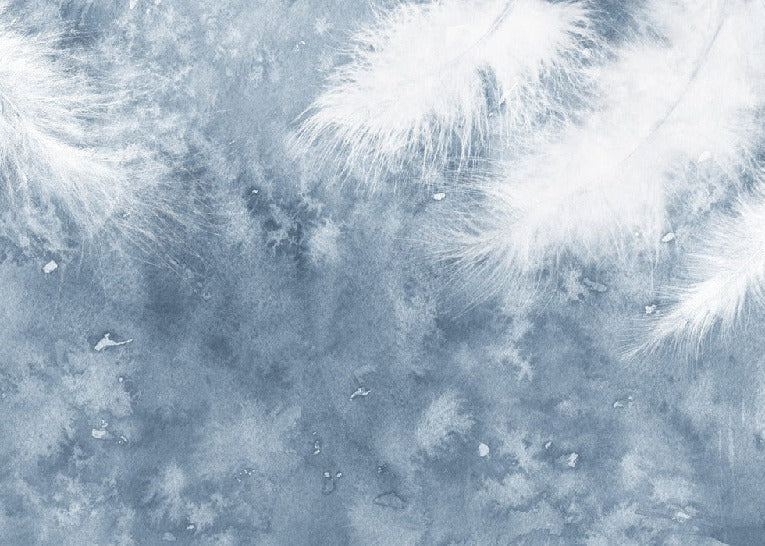 Papier peint Plume Blanche, XXL, tendance