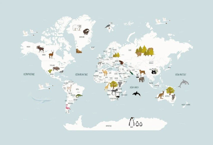 Papier peint Carte du monde en Francais enfant bleu glacier, XXL, tendance