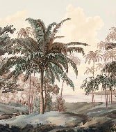 Tapete Landschaft Celebes terra
