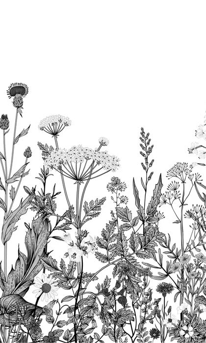 Botanische Tapete Folk schwarz und weiß