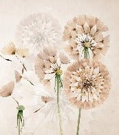 Tapete Blume Löwenzahn