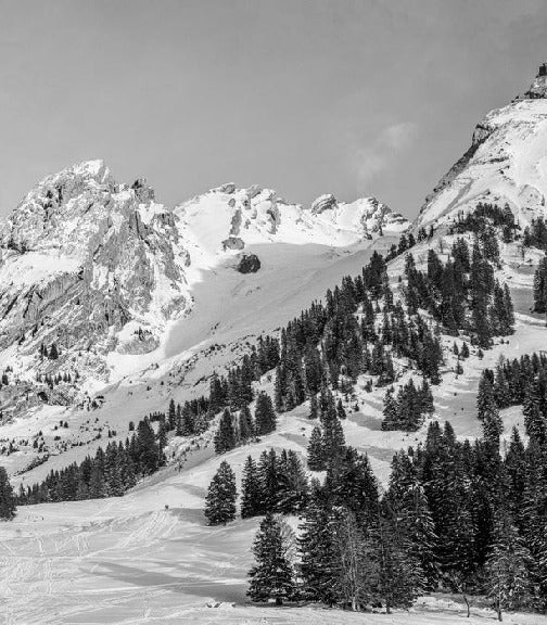 Panorama-Tapete Chalet Alm
