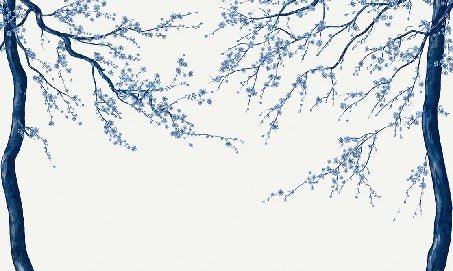 Panorama-Tapete Sakura-Blume weiß