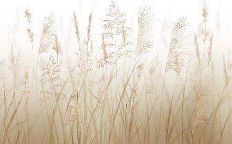 Papier peint fleur des champs de blé, XXL, tendance