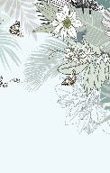 Papier peint wc tendance nature plante vert d'eau, XXL, tendance