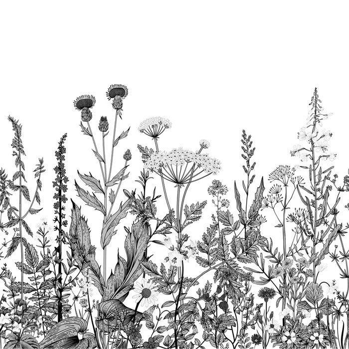 Botanische Tapete Folk schwarz und weiß