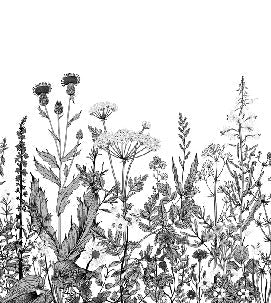 Botanische Tapete Folk schwarz und weiß