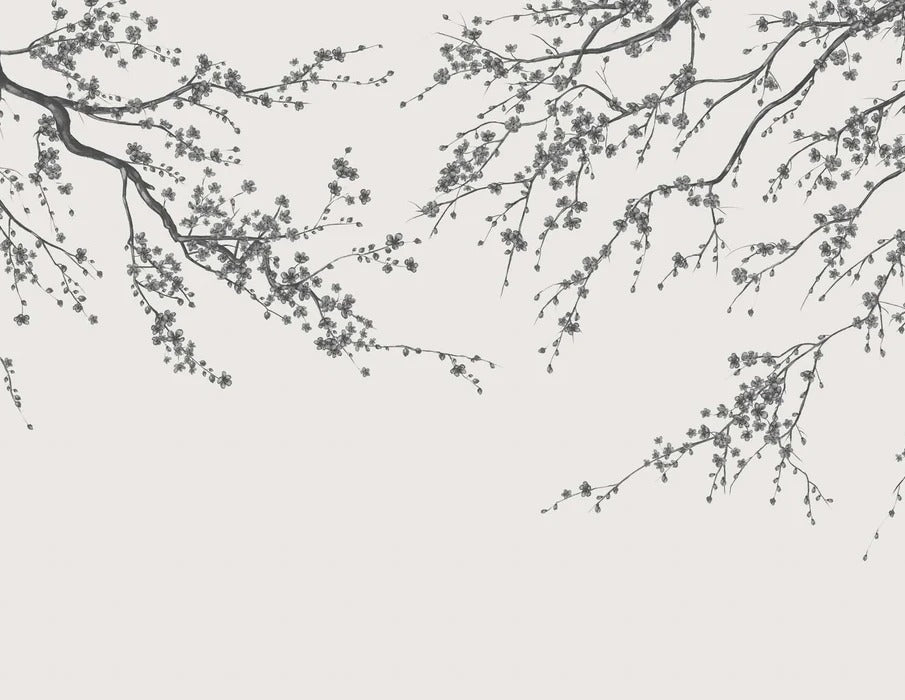 Panorama-Tapete Sakura-Blume schwarz und weiß