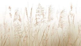 Tapete Blume der Weizenfelder