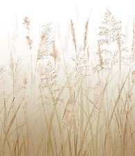 Tapete Blume der Weizenfelder
