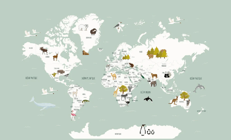 Tapete Weltkarte auf Französisch für Kinder, grün