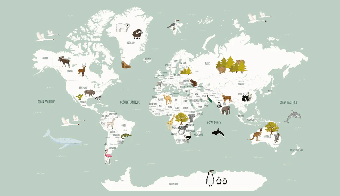 Papier peint Carte du monde en Francais enfant vert - Muralconcept