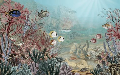 Papier peint vie sous la mer - Muralconcept