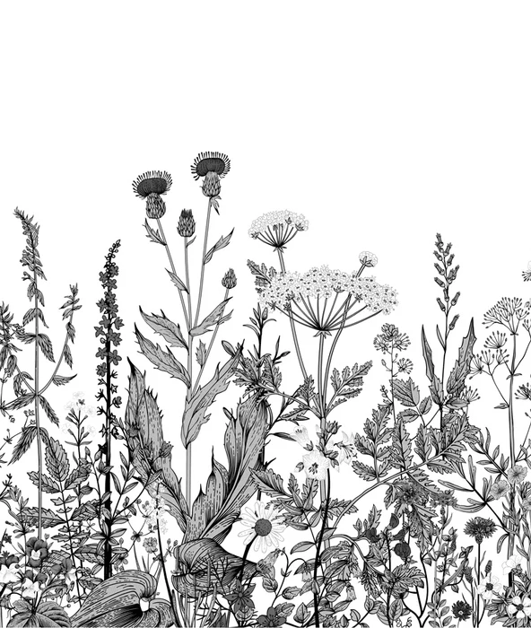 Papier peint botanique folk noir et blanc - Muralconcept