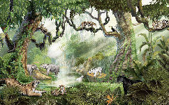 Papier peint enfant jungle secrète - Muralconcept