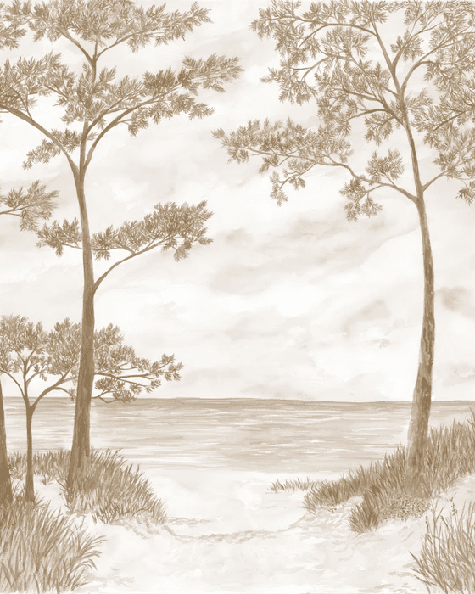 Papier peint Pins maritimes et dunes - Sépia - Muralconcept