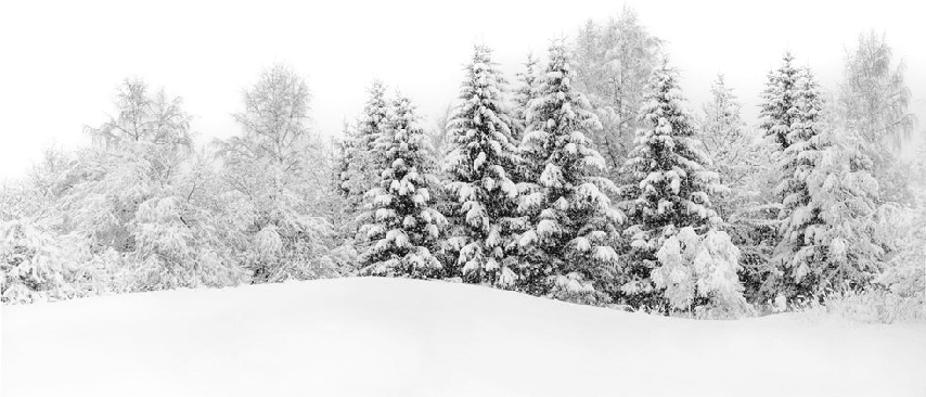 Papier peint panoramique évasion hivernale - Muralconcept