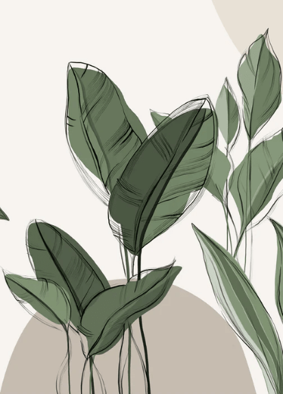 Papier peint panoramique végétal graphique taupe - Muralconcept