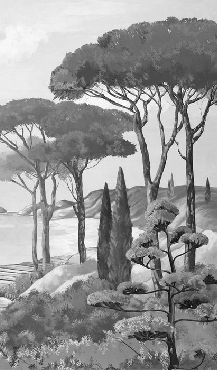 Papier peint balade dans les calanques noir et blanc, XXL, tendance