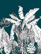 Papier peint panoramique botanic leaf vert - Muralconcept
