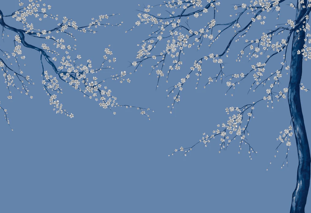 Panorama-Tapete Sakura-Blume bläulich