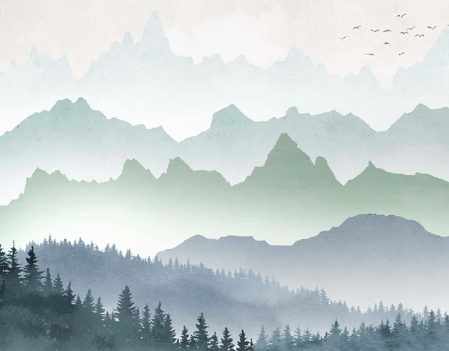 Tapete Morgennebel Wald