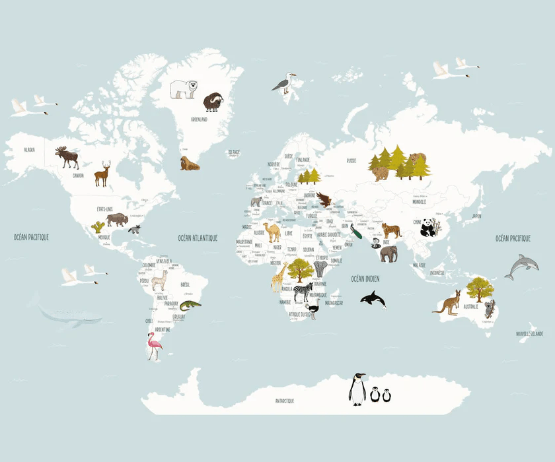 Papier peint Carte du monde en Francais enfant bleu glacier - Muralconcept