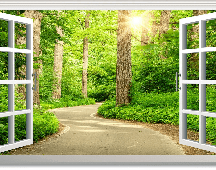 Papier peint wc balade en forêt, XXL, tendance