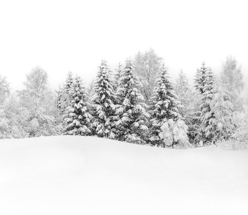 Papier peint panoramique évasion hivernale - Muralconcept