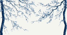 Papel pintado panorámico de flores blancas de Sakura - Muralconcept