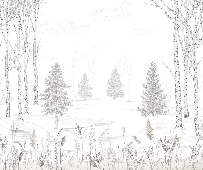 Papier peint forêt noir et blanc – Douceur des Bois, XXL, tendance