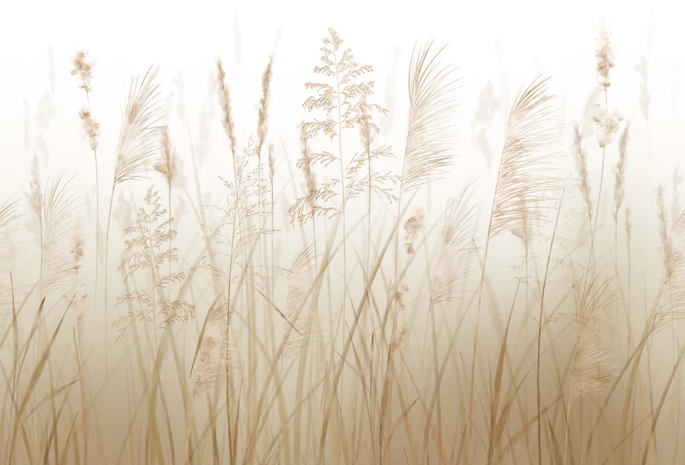 Papier peint fleur des champs de blé, XXL, tendance