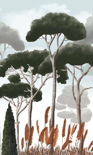 Papier peint sur mesure cyprès pins et herbes de la pampa - Muralconcept