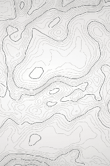 Papier peint ligne topographique - Noir et blanc - Muralconcept
