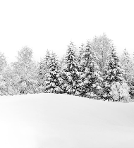 Papier peint panoramique évasion hivernale - Muralconcept
