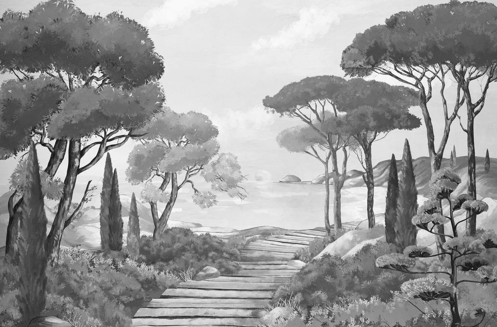 Papier peint balade dans les calanques noir et blanc - Muralconcept