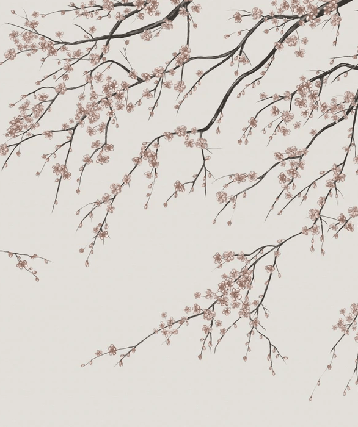 Papier peint panoramique Sakura beige - Muralconcept