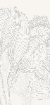 Papier peint panoramique gris et blanc valse des fleurs, XXL, tendance