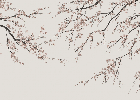 Papier peint panoramique Sakura beige, XXL, tendance