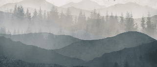 Papier peint panorama nature noir et blanc - Muralconcept