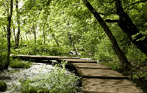 Papier peint bistrot trompe l'œil chemin forestier - Muralconcept