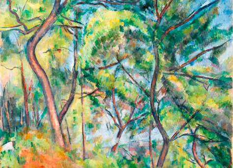 Papier peint forêt de pins - Paul Cézanne - Muralconcept