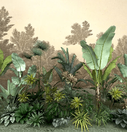 Papier peint restaurant jungle tendance indonésia, XXL, tendance