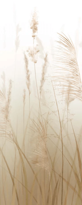 Tapete Blume der Weizenfelder