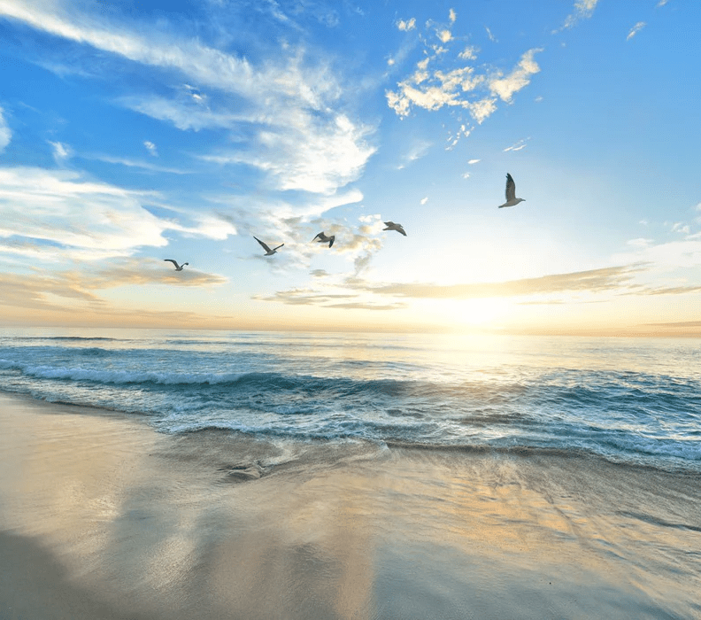 Papier peint Plage Paradisiaque, XXL, tendance