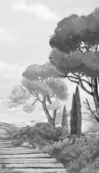 Tapete „Spaziergang in den Calanques“ schwarz-weiß